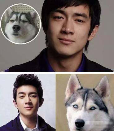 李荣浩回应同款狗狗 盘点撞脸动物的明星 最后一个笑喷了