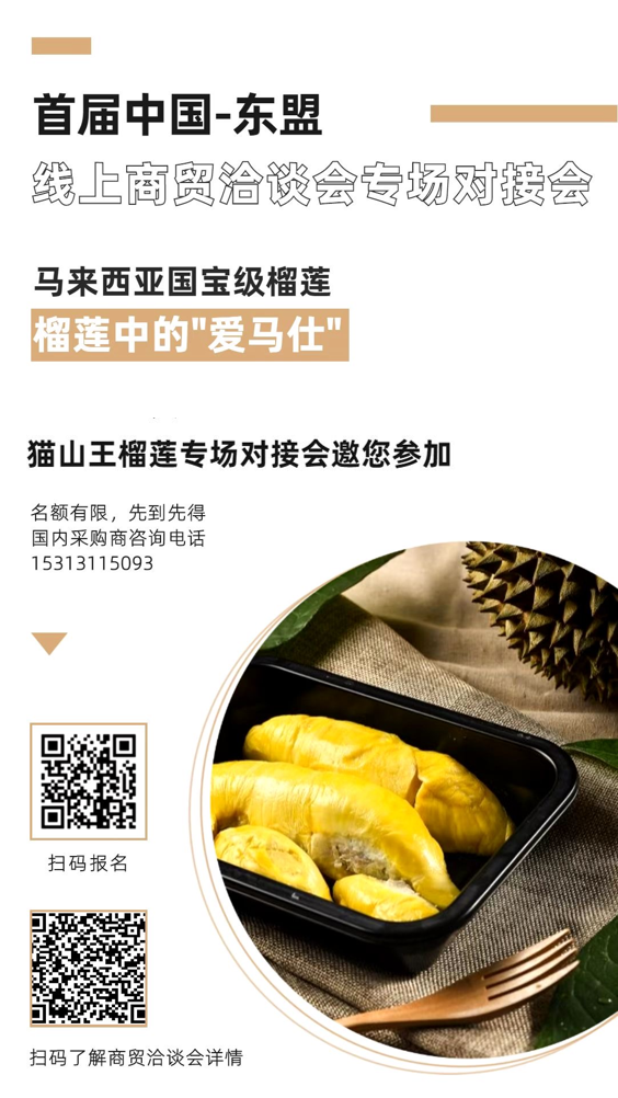 搭