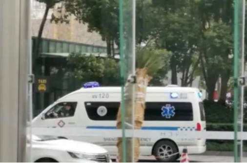 拼多多员工匿名发帖被辞退!脉脉、拼多多回应来了 到底该信谁? 拼多多员工匿名发帖被辞退!脉脉、拼多多回应来了 到底该信谁?
